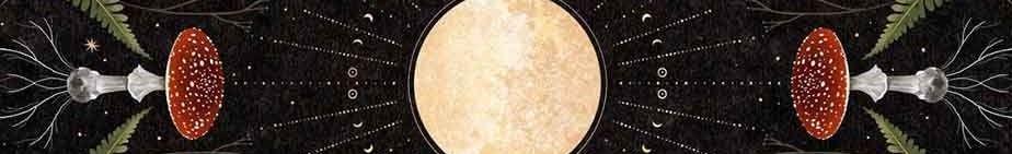 The Wedding Website of Patience Williams and Matthew Budurowich