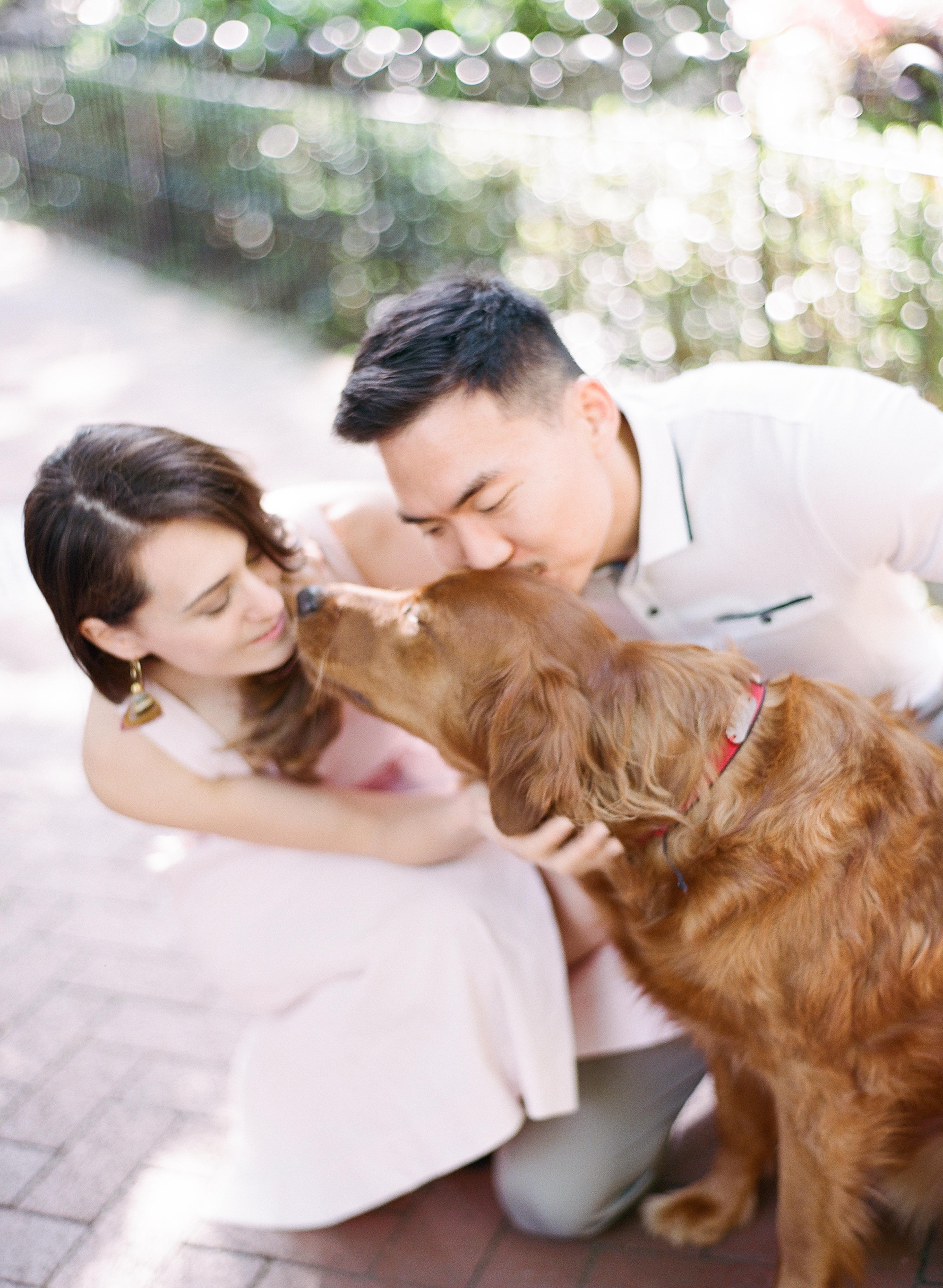 The Wedding Website of Tayo Johnson and Doyeon Kim
