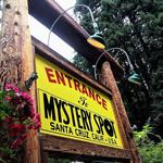 The Mystery Spot