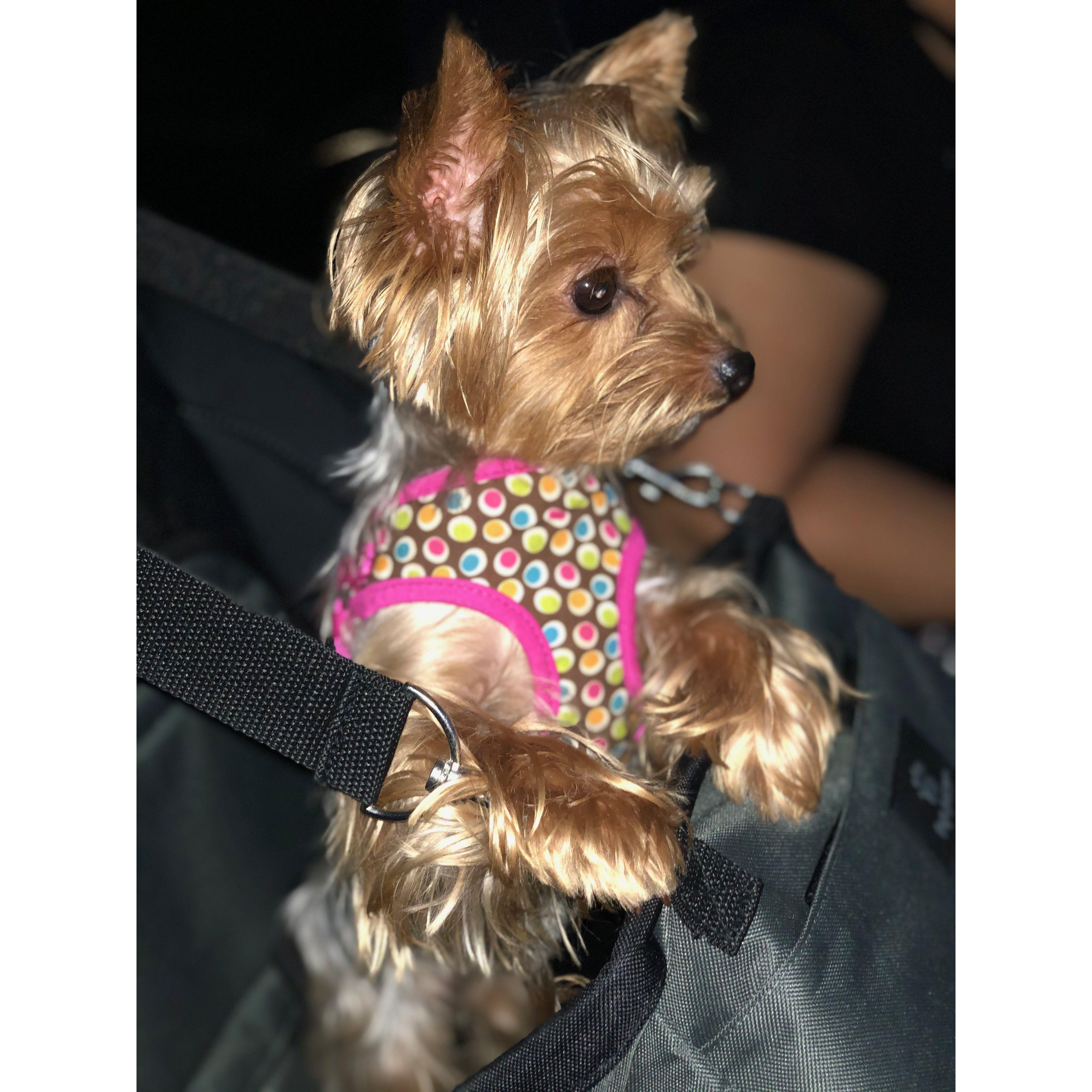 La princesa de la casa! MILAAAAA!!