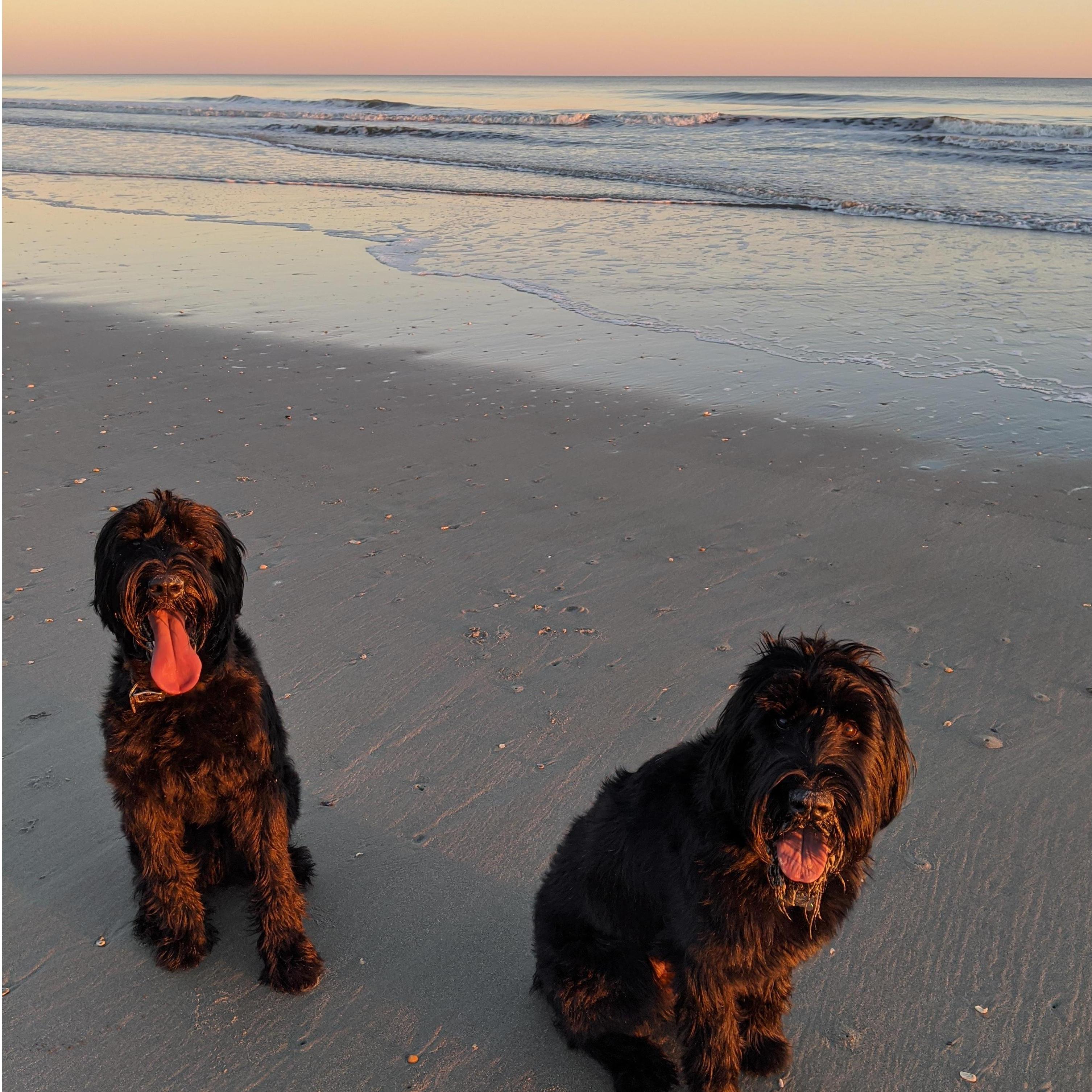 Winnie and Mousse.