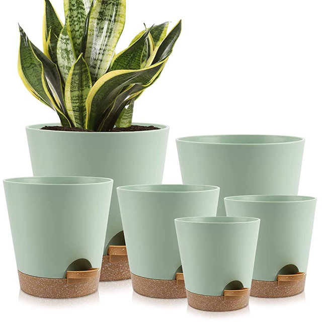 YNNICO Plant Pots Indoor 8/7/6.5/6/5.5/5 Inch Self Watering Planters with Drainage Holes and Saucers, Plastic Flower Pots, Nursery Planting Pot for Indoor Out Door Plants