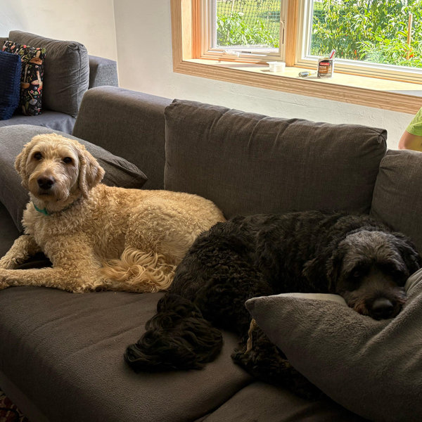 Keeping the Hounds Happy
