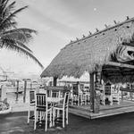 Tiki 52 Restaurant