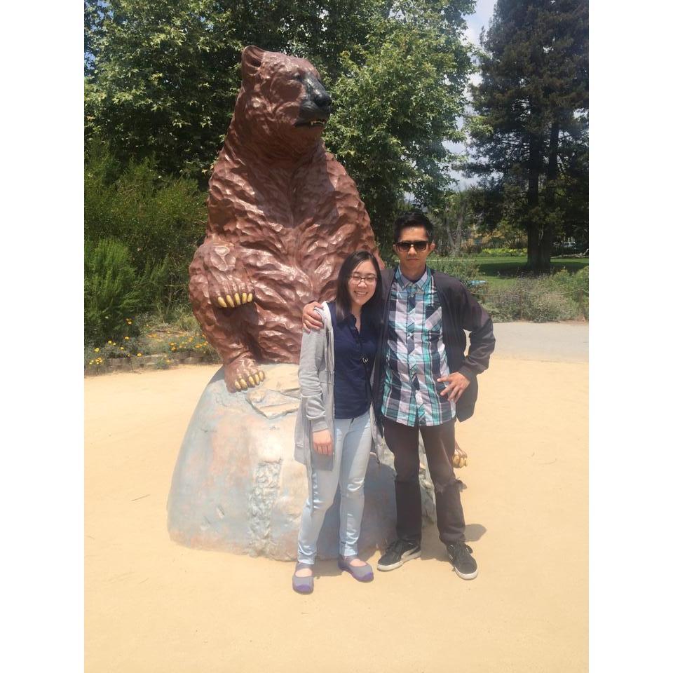 LaBrea tar pits 2015