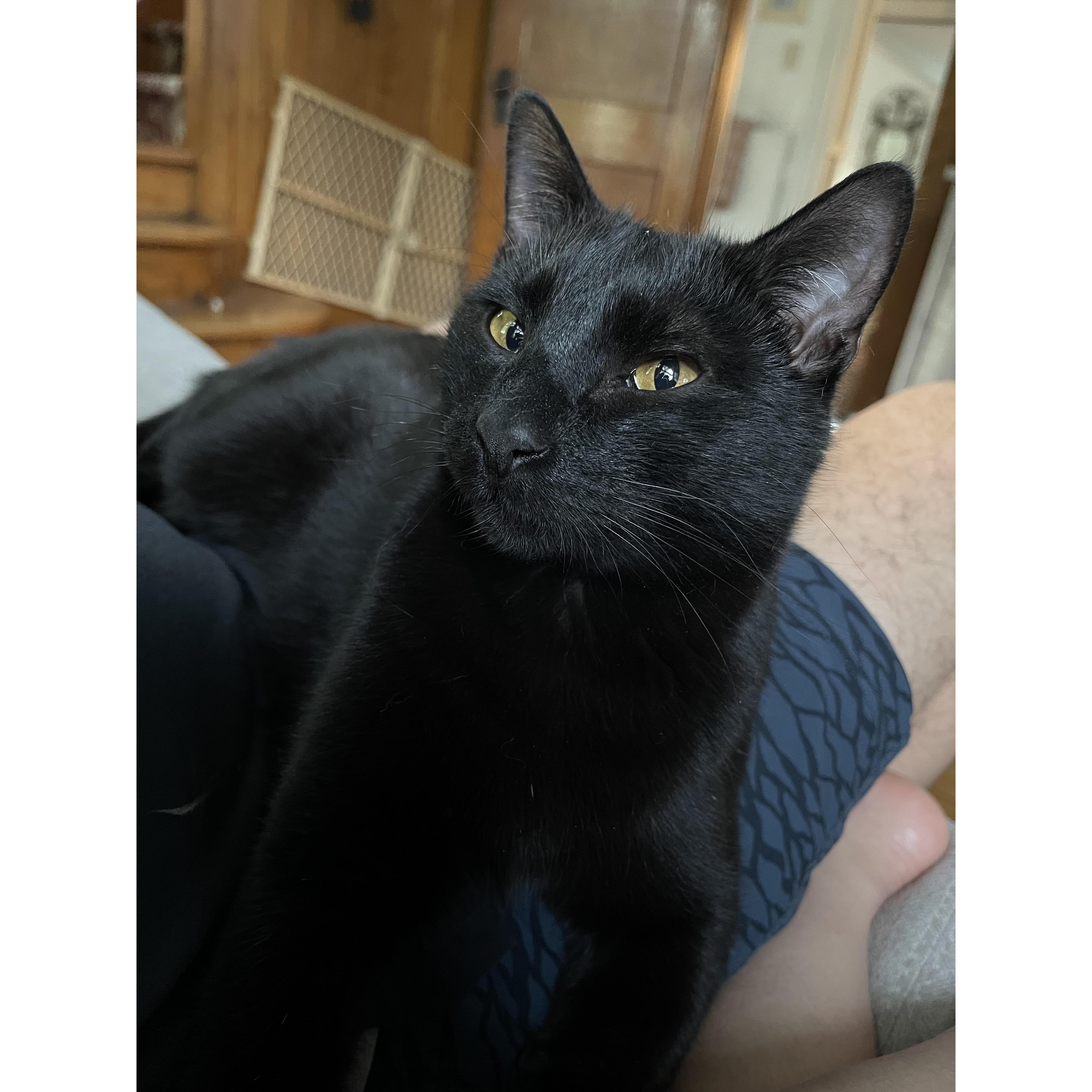 My second little shadow