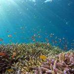 Eco Marine Science Class