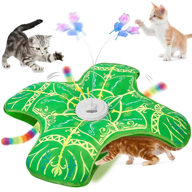 Qraxond Interactive Cat Toys for Indoor Cats,[Newly Upgraded] Rechargeable Touch Activated Hide and Seek Kitten Toys for Bored Indoor Adult Cats with Fluttering (Green)