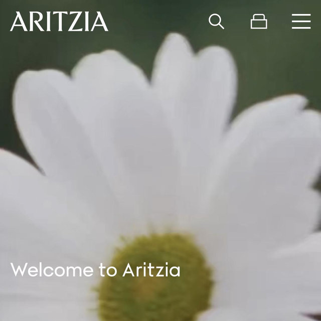 Aritzia Gift Card