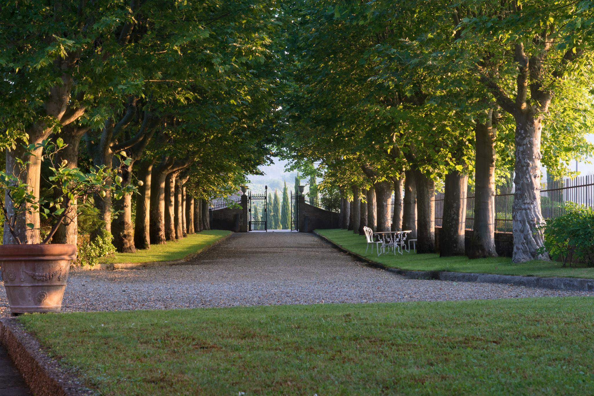 The Wedding Website of Megan Dawson-Elli and Ted Walker