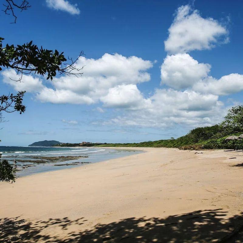 The beach/La plage