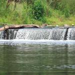 Tyler State Park