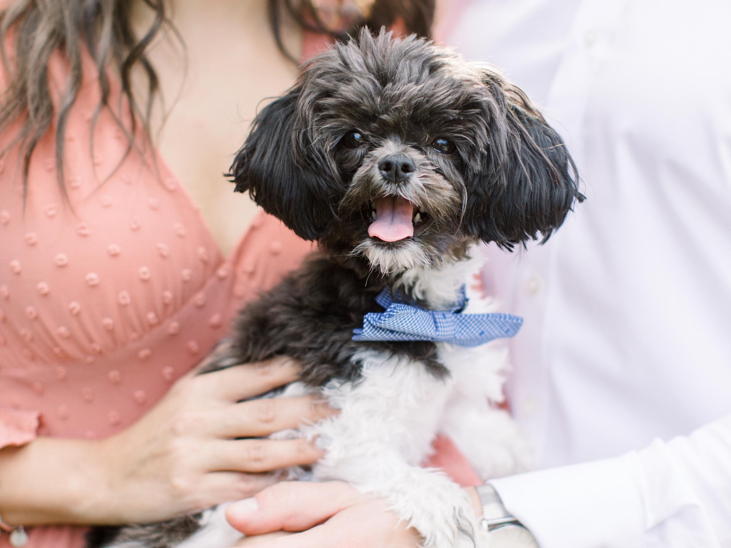 The Wedding Website of Jennifer Dellemonico and Matthew Pilla