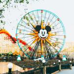 Theme Parks