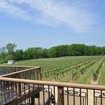 M Cellars