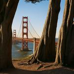 Lands End Coastal Trail