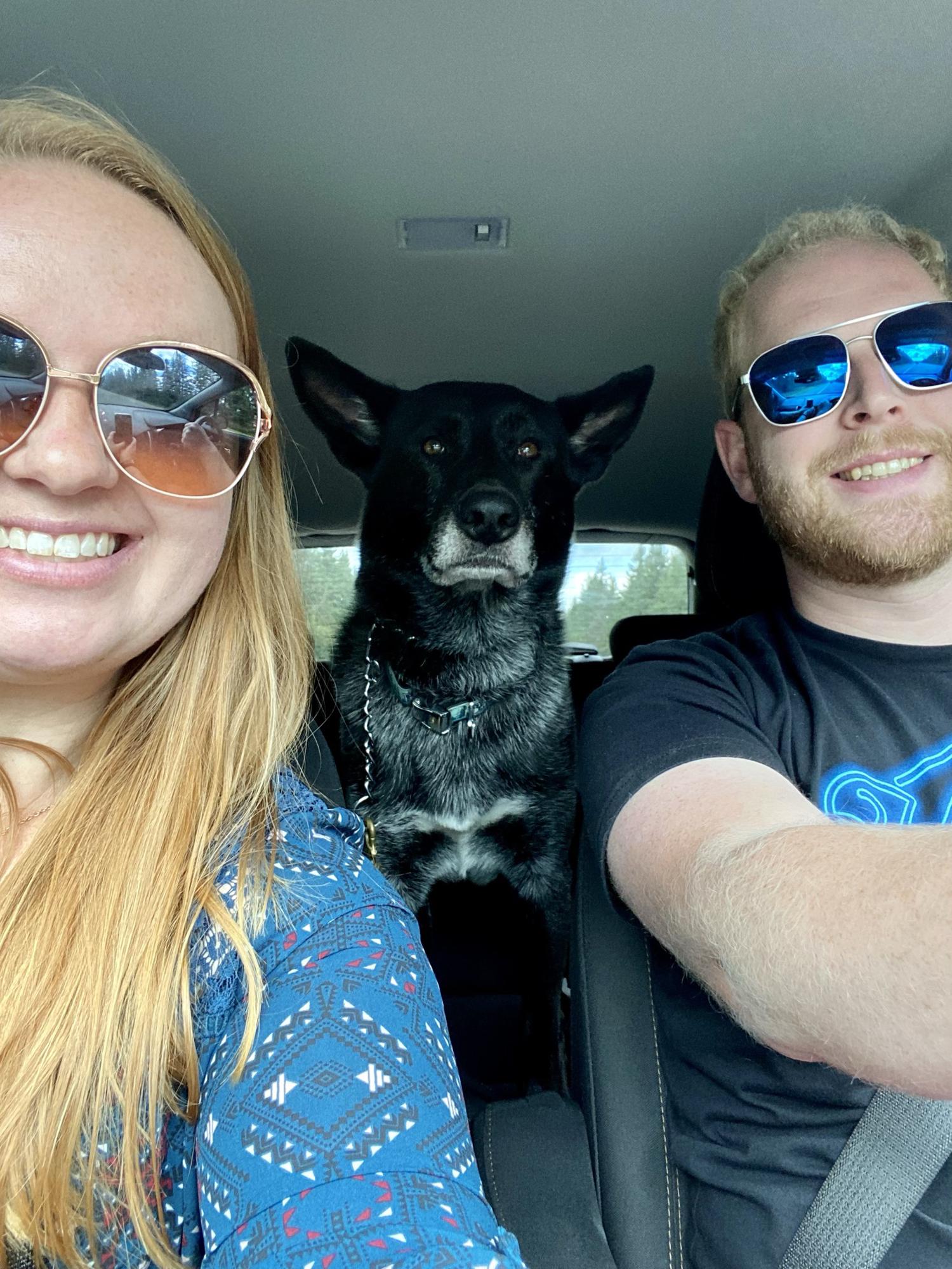 Austin's dog Koda. Taylor has been waiting years to be a dog mom again!