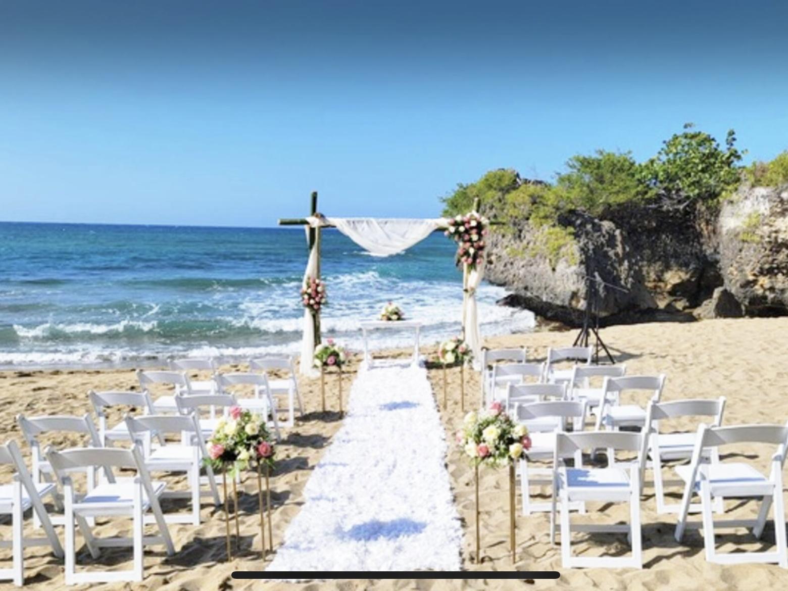 The Wedding Website of Danielle Shavirov and Reese Taylor