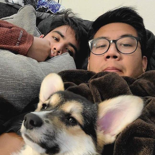 Lazy days with Toki!