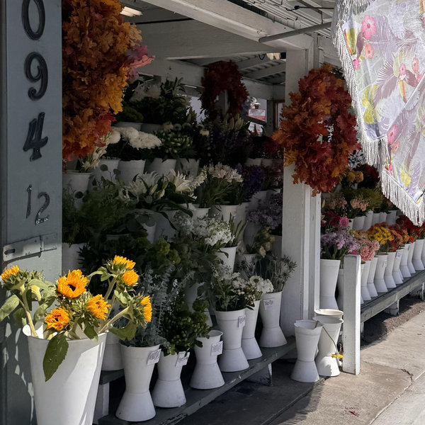 Flower Preservation