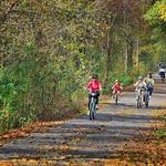 Swamp Rabbit trail