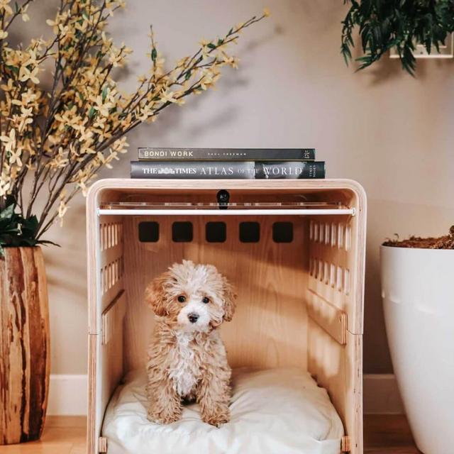 FABLE -dogCrate