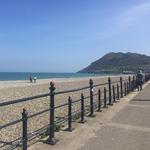 Bray