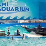 Miami Seaquarium