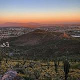 Tumamoc Hill Hiking Trail