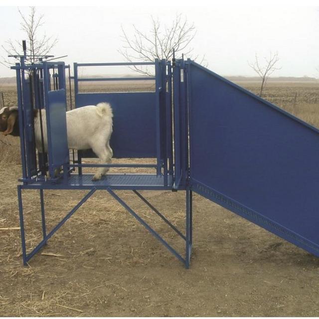Sheep Working Facility
