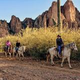 Horseback Riding
