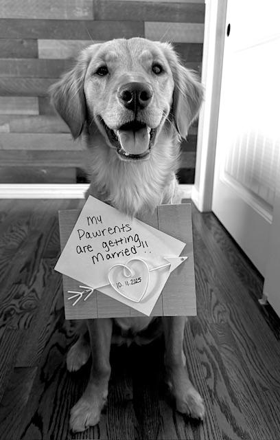 The Wedding Website of Lilia Marinitch and Michael Telitz