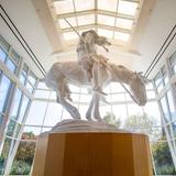 National Cowboy Museum