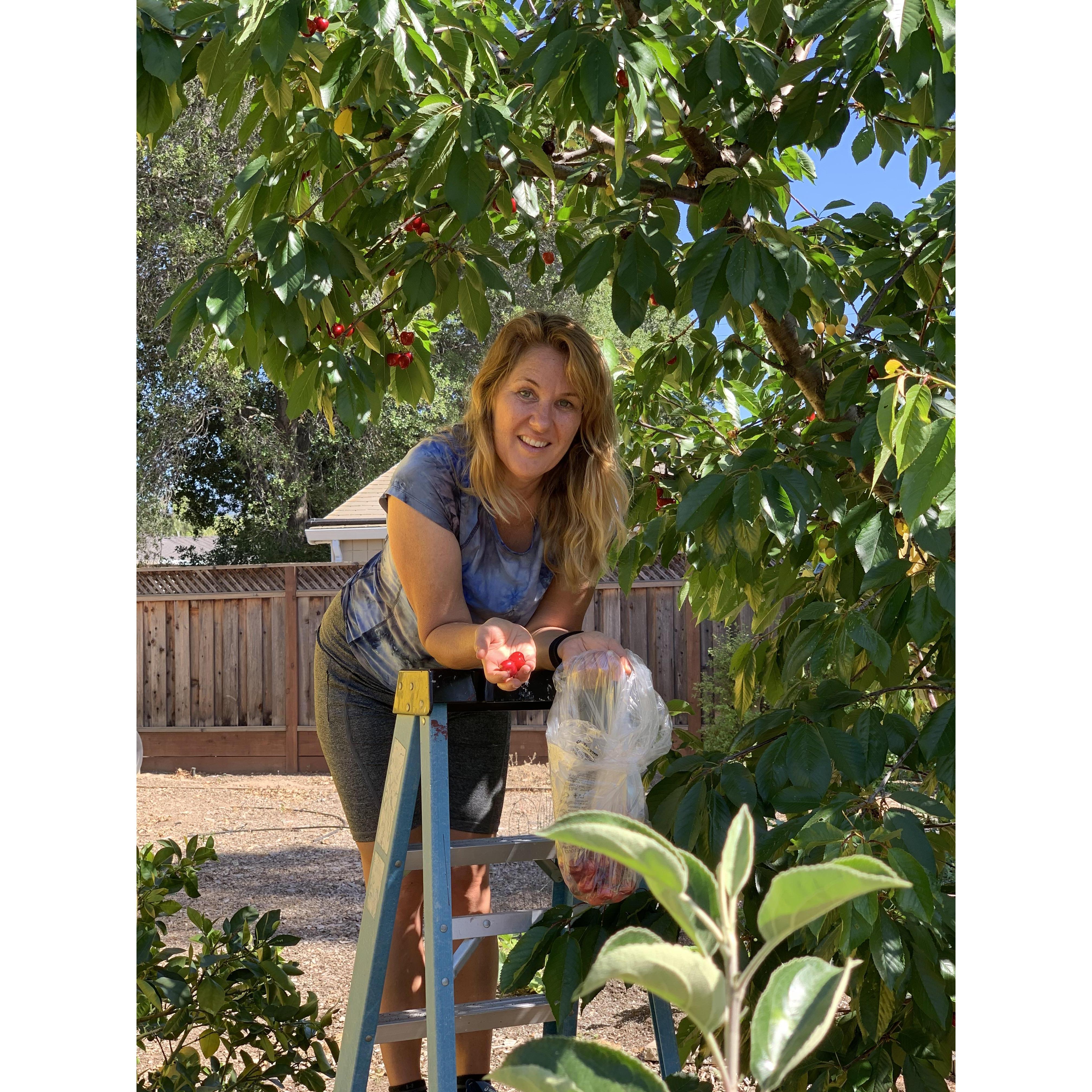 We planted a huge garden in March and harvested produce non-stop until now. Delicious!