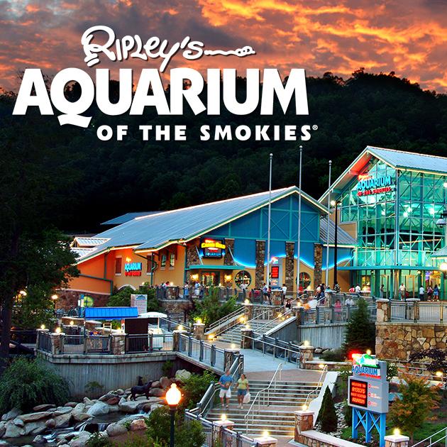 Ripley’s aquarium
