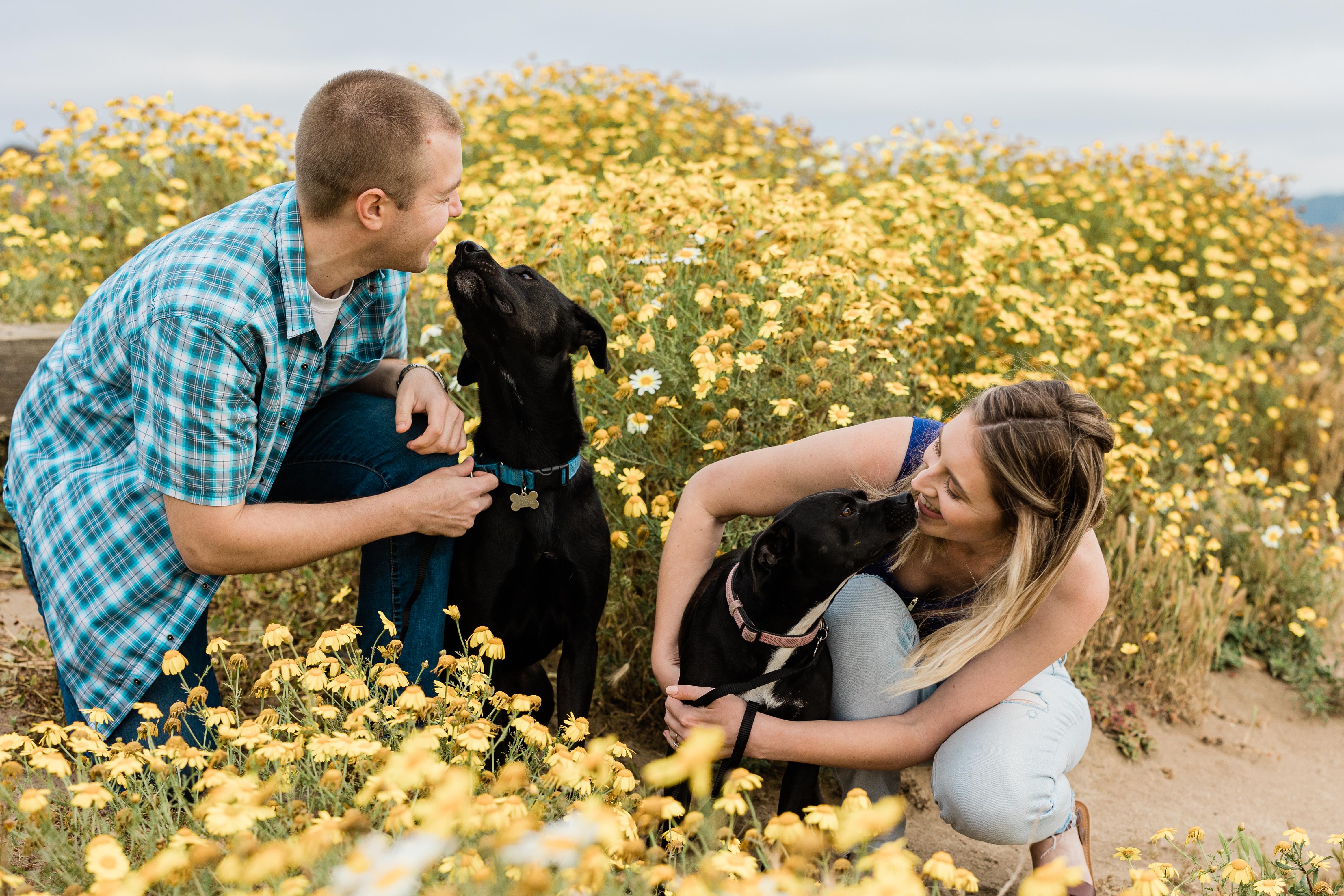 The Wedding Website of Marissa Butner and Nicholas Owens