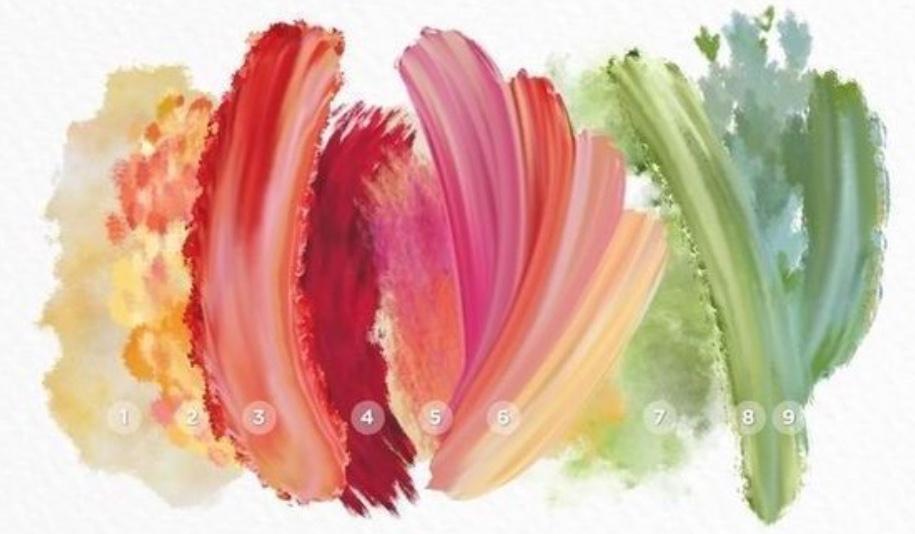 The Wedding Website of Mariah McCurry and Kevin Kapoun