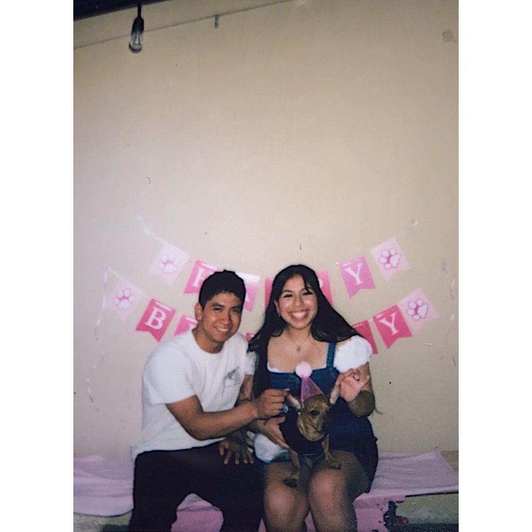 Biscuit's birthday- 2020