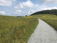 Moses H Cone Memorial Park