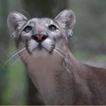 ZooTampa at Lowry Park