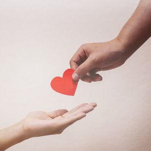 Donations to the organizations we care about
