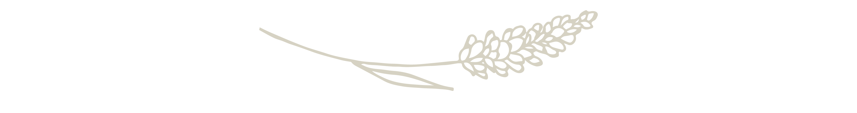 The Wedding Website of Rachel Ahlf and Tanner Swenson