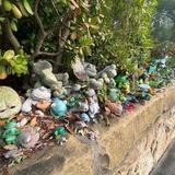 Frog Wall