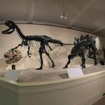 Natural Science Museum