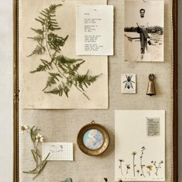 Your Story Brass Display Cabinet