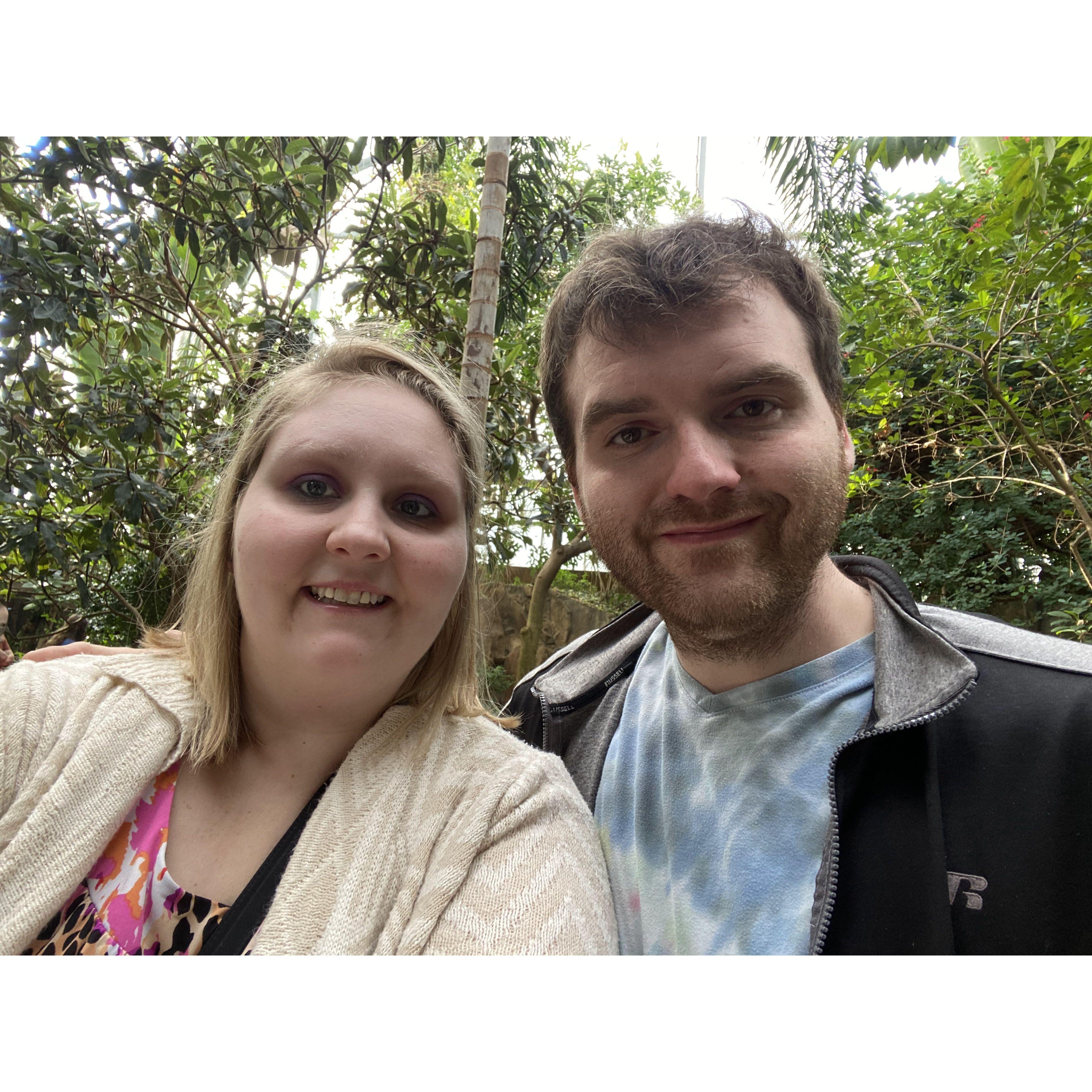 Butterfly exhibit at Meijer gardens