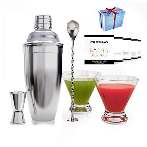 24 Ounce Cocktail Shaker Set with a Set of 2 Stemless Martini Glasses and Cocktail Recipe Guide - The Perfect Christmas Gift - Martini Glasses, Cocktail Mixer, Measuring Jigger and Bar Spoon