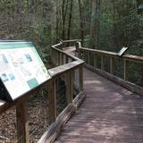 Arcadia Mill Archaeological Site