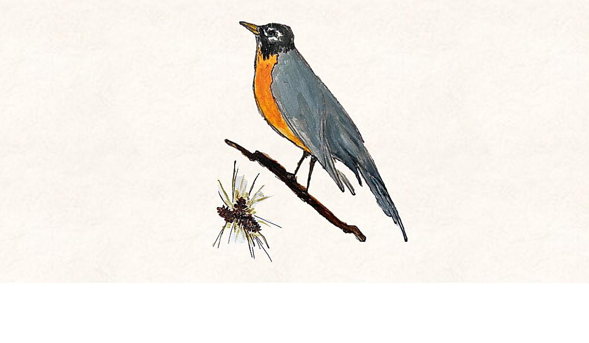 Footer image