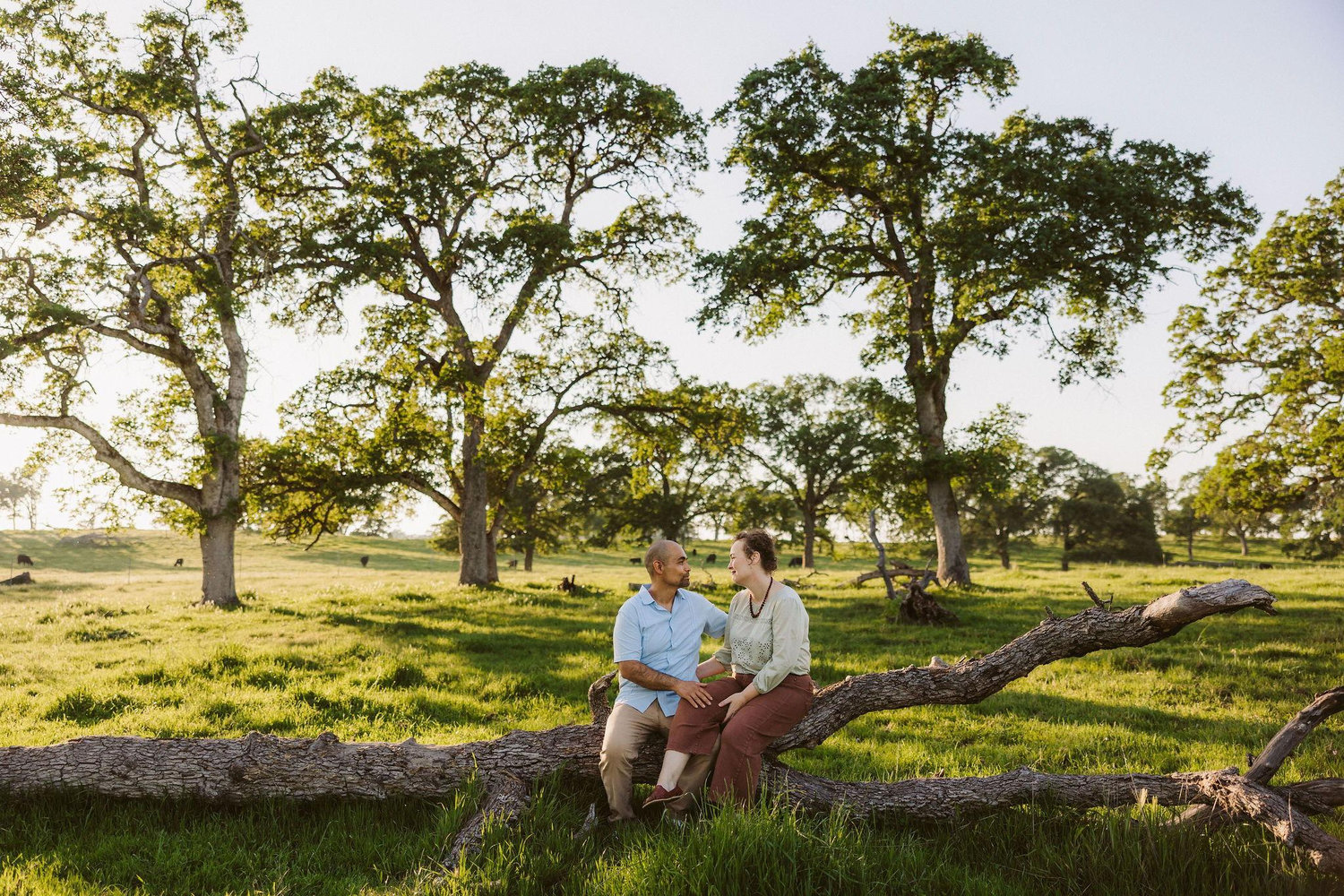 The Wedding Website of Ambre Shoneff and Alex Valdez